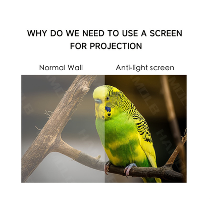 Reflective Projection Screen